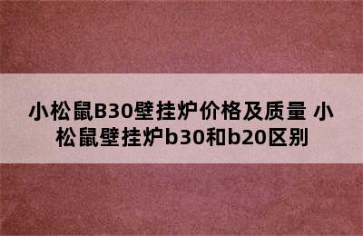 小松鼠B30壁挂炉价格及质量 小松鼠壁挂炉b30和b20区别